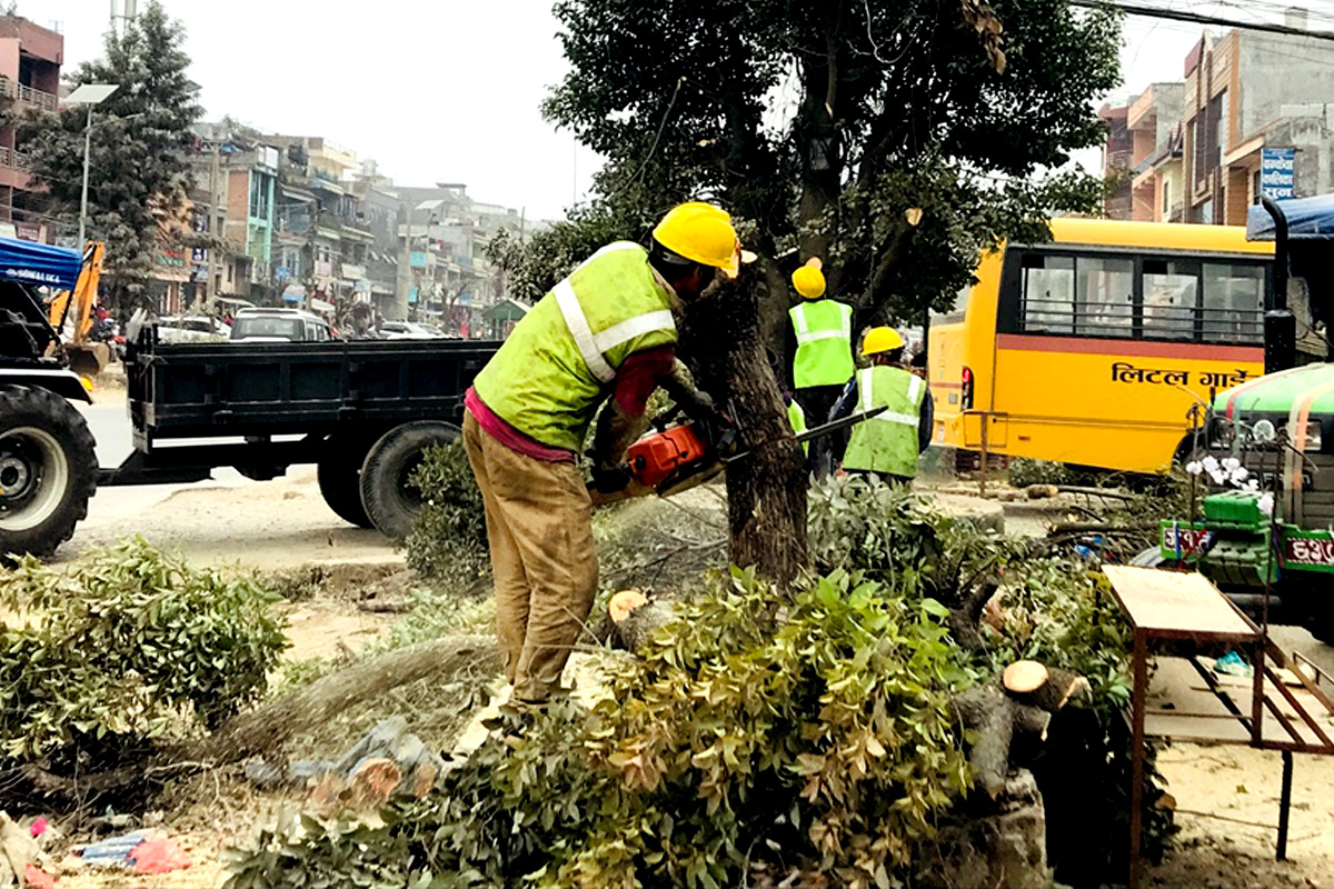 मुग्लिन–पोखारा चार लेन सडक आयोजनाः ५८ सय रुख कटान 